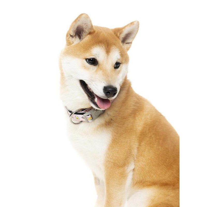 FuzzYard | SuShiba - Dog Collar-FuzzYard-Love My Hound