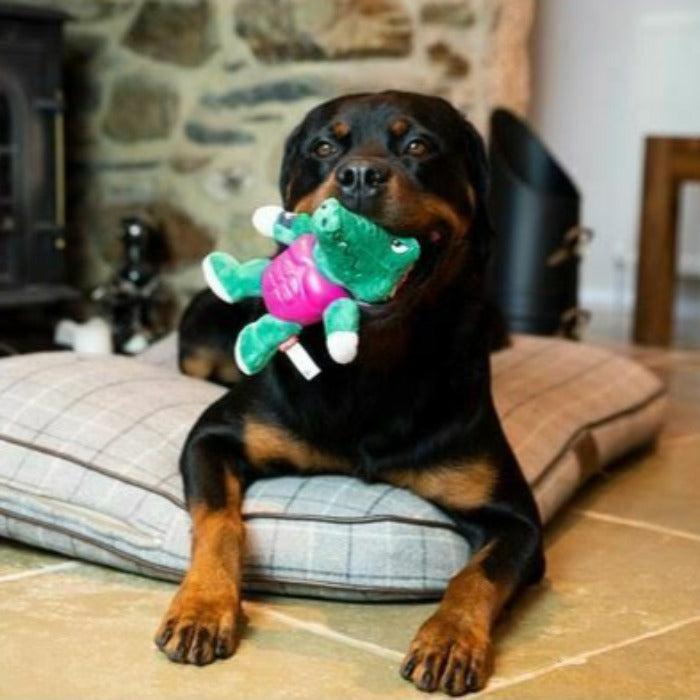 GiGwi - I'm Hero Armour Dog Toy - Alligator-GiGwi-Love My Hound