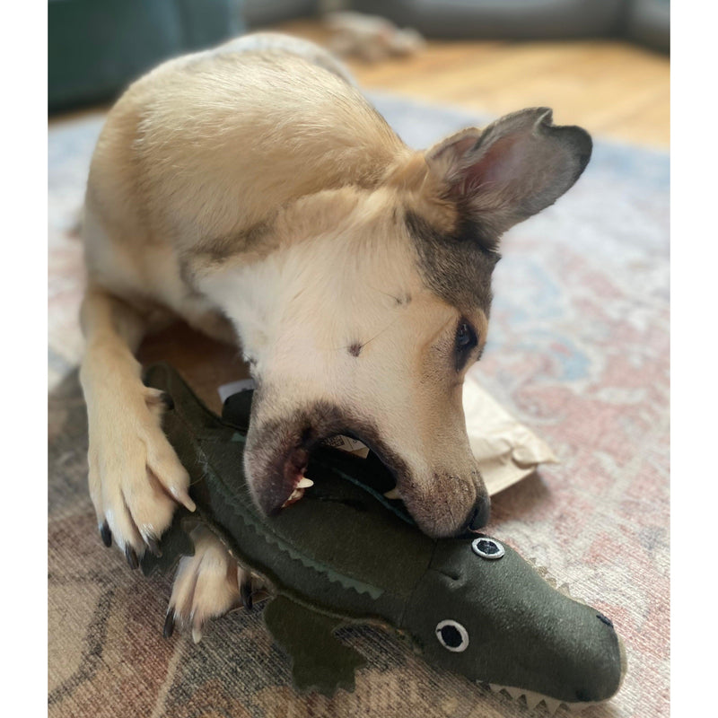 Green & Wilds - Eco Dog Toy - Colin the Crocodile-Green & Wilds-Love My Hound