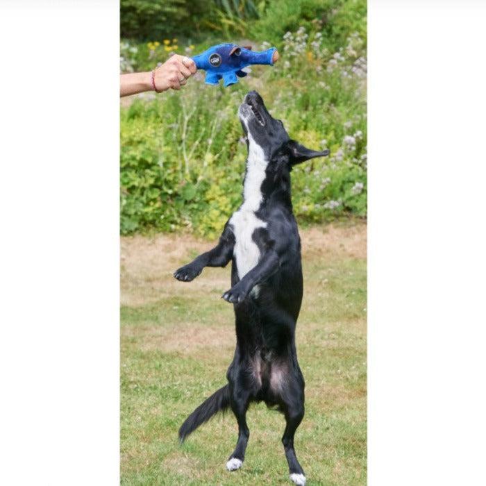Green & Wilds | Eco Dog Toy - Dino the Dyno Fish-Green & Wilds-Love My Hound