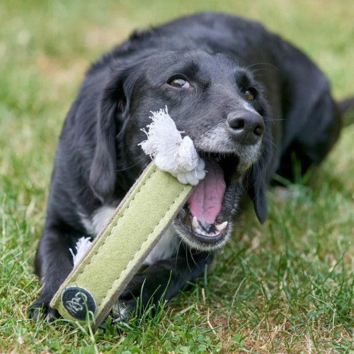 Green & Wilds | Eco Dog Toy - Push Me, Pull Me Ring-Green & Wilds-Love My Hound