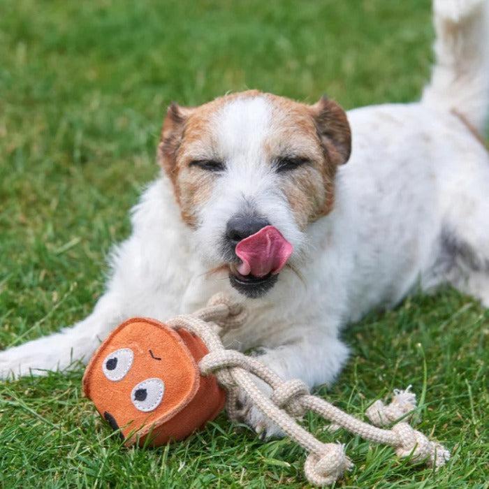 Green & Wilds | Eco Dog Toy - Sid the Squid-Green & Wilds-Love My Hound