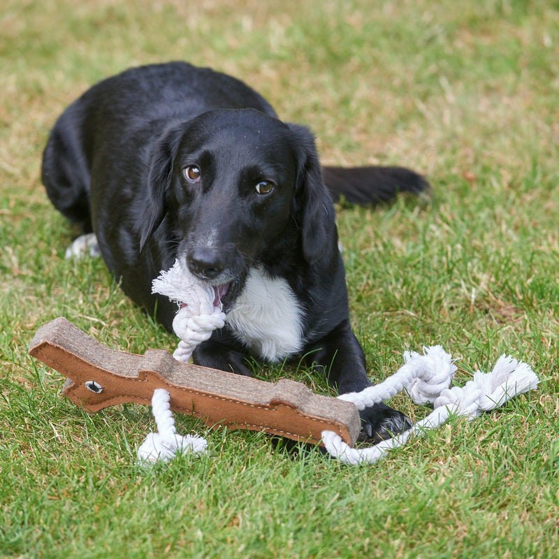 Green & Wilds | Eco Dog Toy - Stick Man-Green & Wilds-Love My Hound