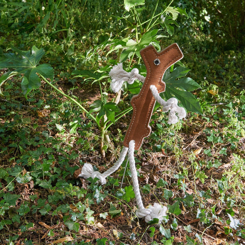 Green & Wilds | Eco Dog Toy - Stick Man-Green & Wilds-Love My Hound