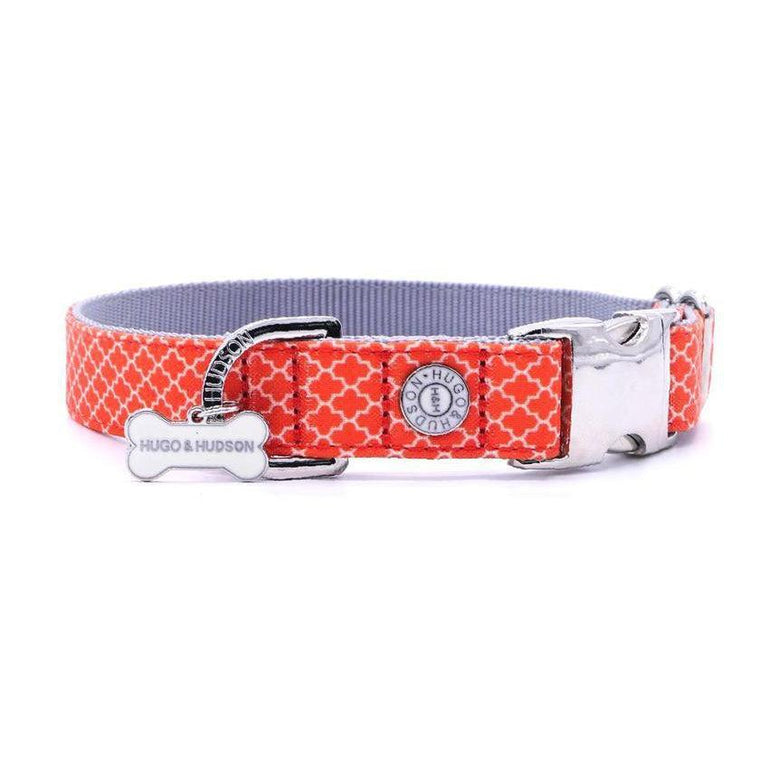 Hugo & Hudson - Orange Geometric Dog Bone Collar