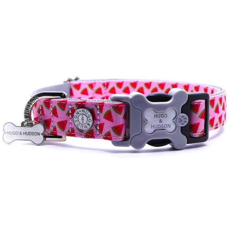 Hugo & Hudson - Pink Watermelon Dog Bone Collar