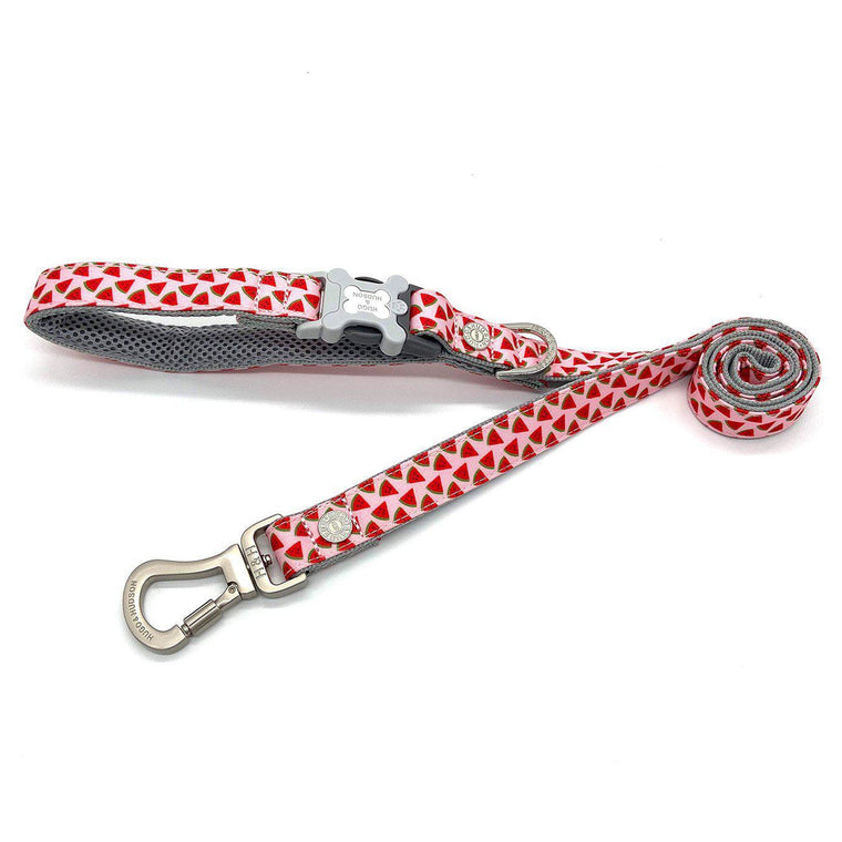 Hugo & Hudson - Pink Watermelon Dog Lead