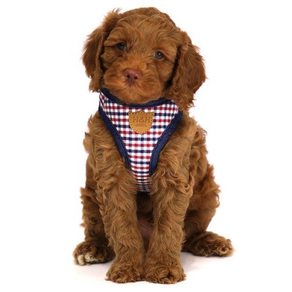 Hugo & Hudson - Red and Blue Checked Dog Harness