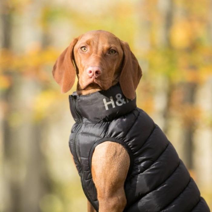 Hugo & Hudson - Reversible Puffer Jacket - Black/Grey-Hugo & Hudson-Love My Hound