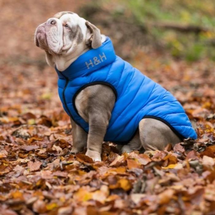 Hugo & Hudson - Reversible Puffer Jacket - Blue/Navy-Hugo & Hudson-Love My Hound