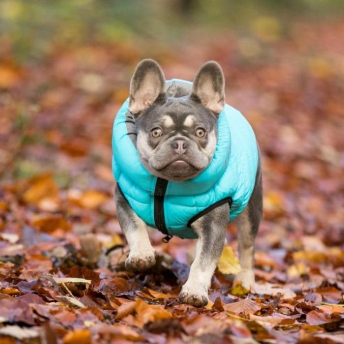 Hugo & Hudson - Reversible Puffer Jacket - Light Blue/Grey-Hugo & Hudson-Love My Hound