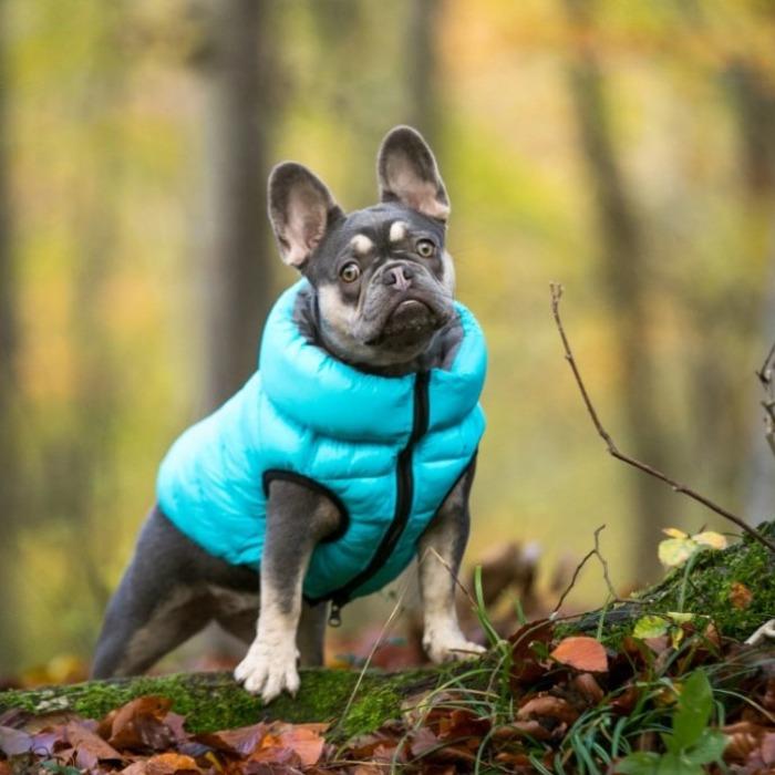 Hugo & Hudson - Reversible Puffer Jacket - Light Blue/Grey-Hugo & Hudson-Love My Hound