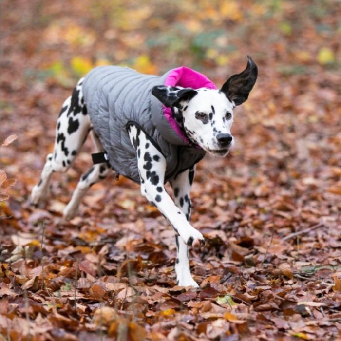 Hugo & Hudson - Reversible Puffer Jacket - Pink/Grey-Hugo & Hudson-Love My Hound