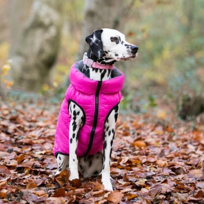 Hugo & Hudson Reversible Puffer Jacket Pink/Grey Love My Hound