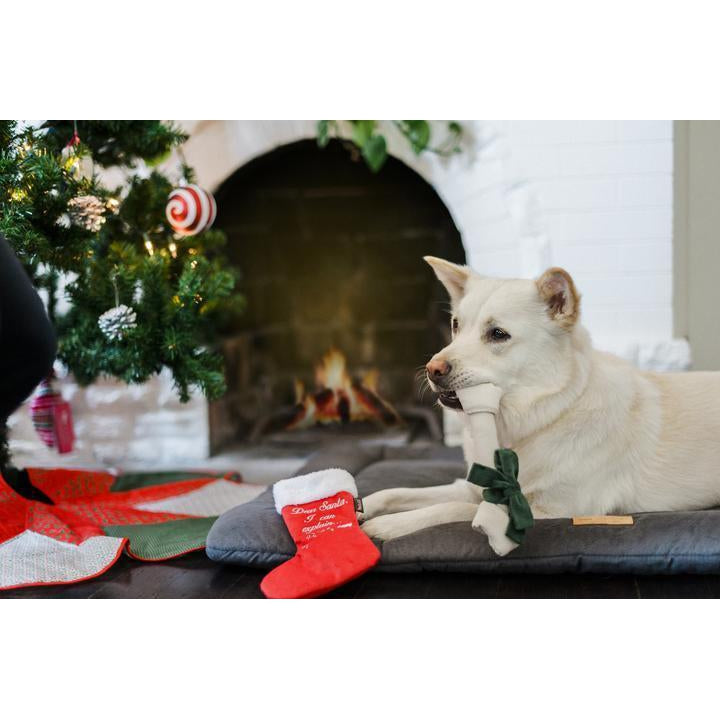 P.L.A.Y - Merry Woofmas Good Dog Stocking Dog Toy-P.L.A.Y-Love My Hound