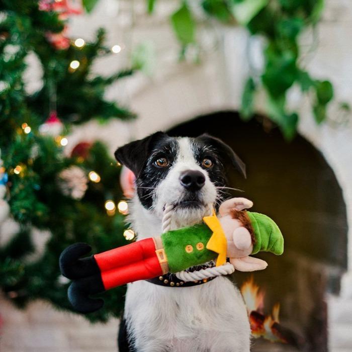 P.L.A.Y - Merry Woofmas Santa's Little Elf-er - Dog Toy-P.L.A.Y-Love My Hound