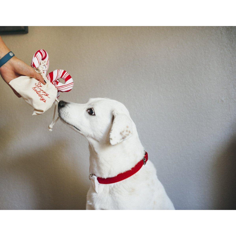 P.L.A.Y. - Christmas Candy Canes Plush Toy-P.L.A.Y-Love My Hound