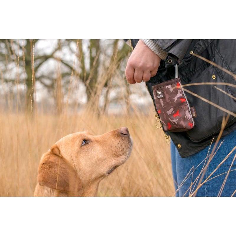 P.L.A.Y. - Scout & About - Compact Training Pouch-P.L.A.Y-Love My Hound