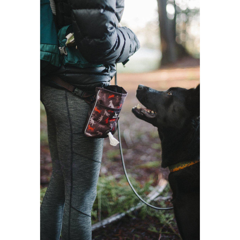 P.L.A.Y. - Scout & About - Deluxe Training Pouch-P.L.A.Y-Love My Hound