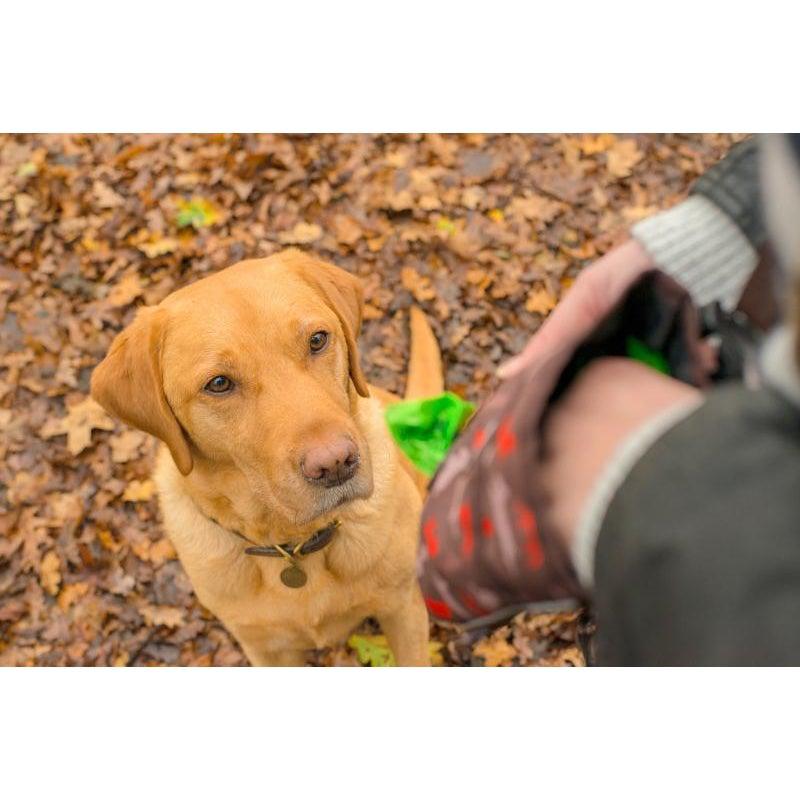 P.L.A.Y. - Scout & About - Deluxe Training Pouch-P.L.A.Y-Love My Hound