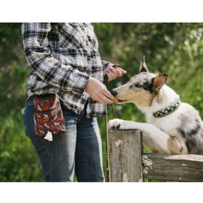 P.L.A.Y. - Scout & About - Deluxe Training Pouch-P.L.A.Y-Love My Hound