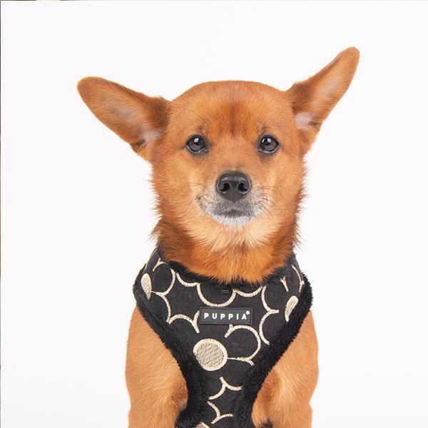 Puppia - Florent Soft Dog Harness (A) - Black-Puppia-Love My Hound