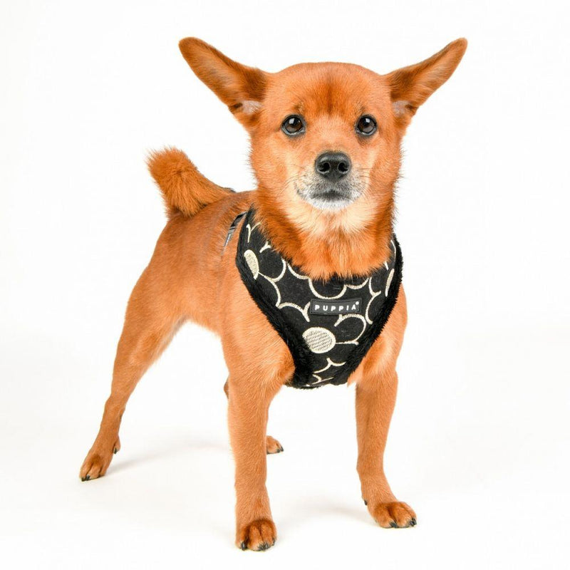 Puppia - Florent Soft Dog Harness (A) - Black-Puppia-Love My Hound