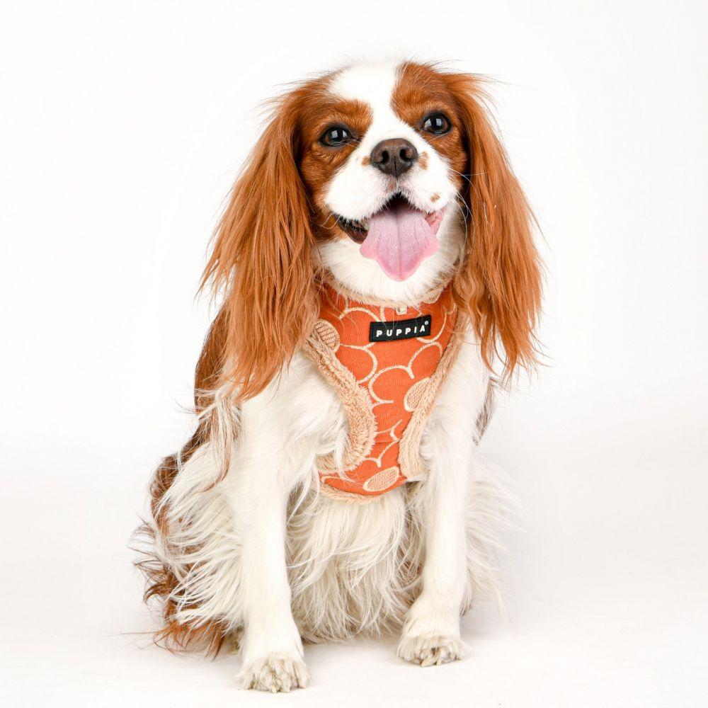 Puppia - Florent Soft Dog Harness (A) - Orange-Puppia-Love My Hound