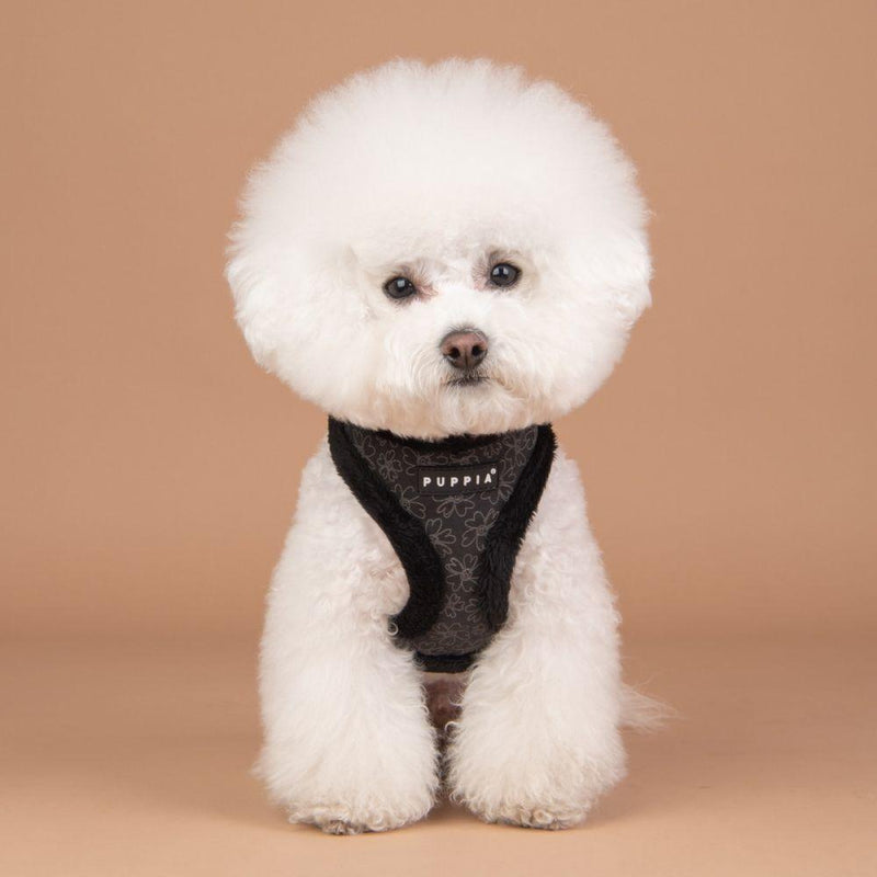Puppia - Hepatica - Matching Soft Dog Leads-Puppia-Love My Hound