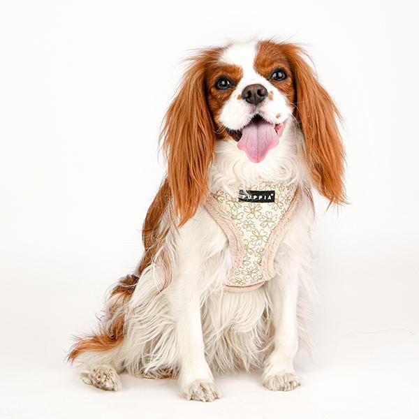 Puppia Hondentuig Soft Harness Bruin Puppia Hondentuig Soft Harness Bruin
