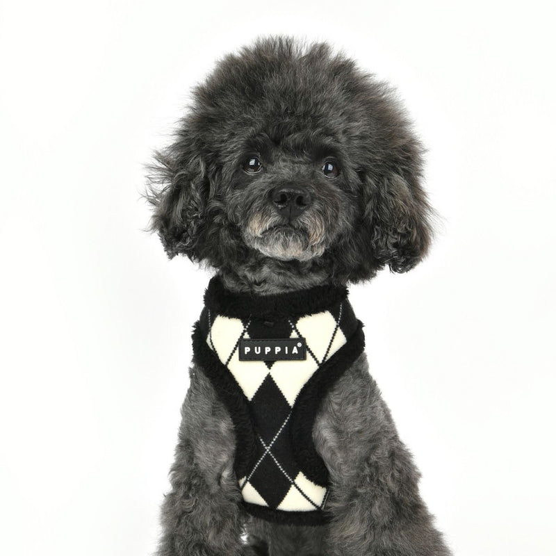 Puppia - Jayden Soft Dog Harness (A) - Black-Puppia-Love My Hound