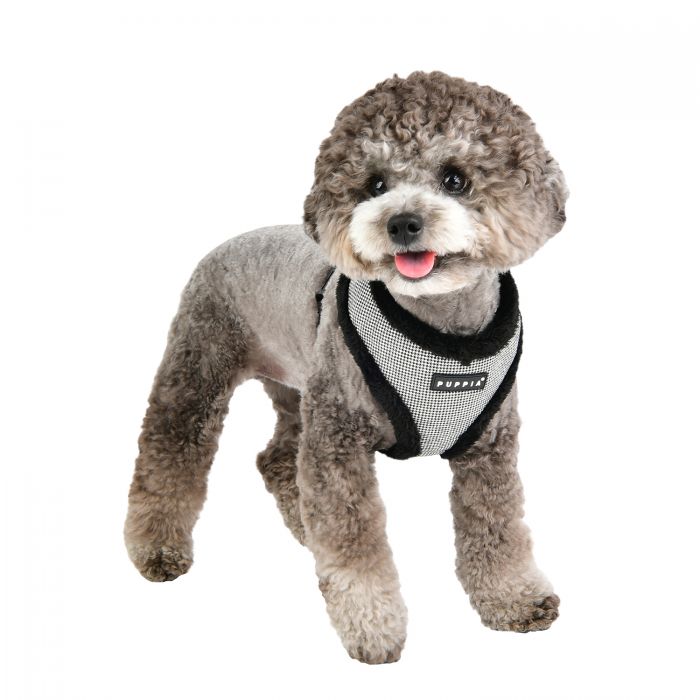 Puppia - Puppytooth Soft Dog Harness (A) - Black-Puppia-Love My Hound