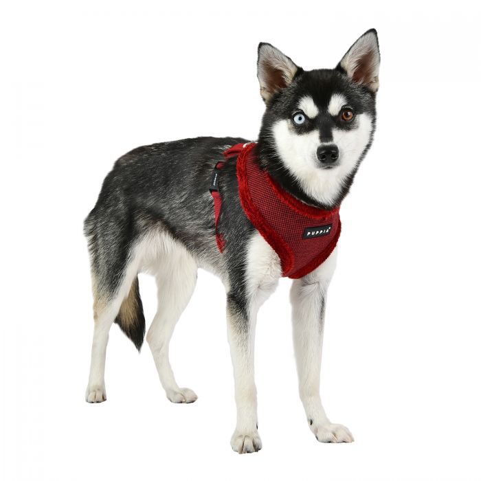 Puppia - Puppytooth Soft Dog Harness (A)- Wine-Puppia-Love My Hound