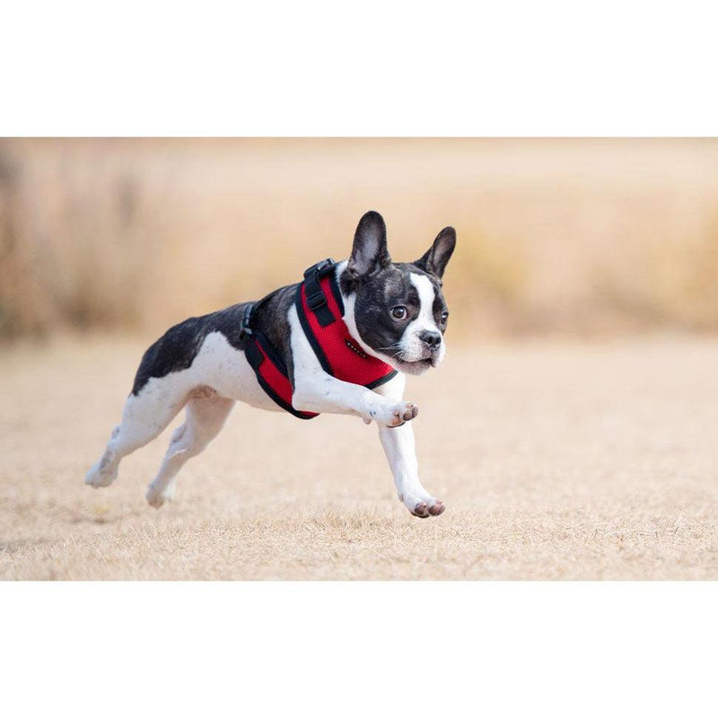 Puppia Ritefit Dog Harness Red - Main Image