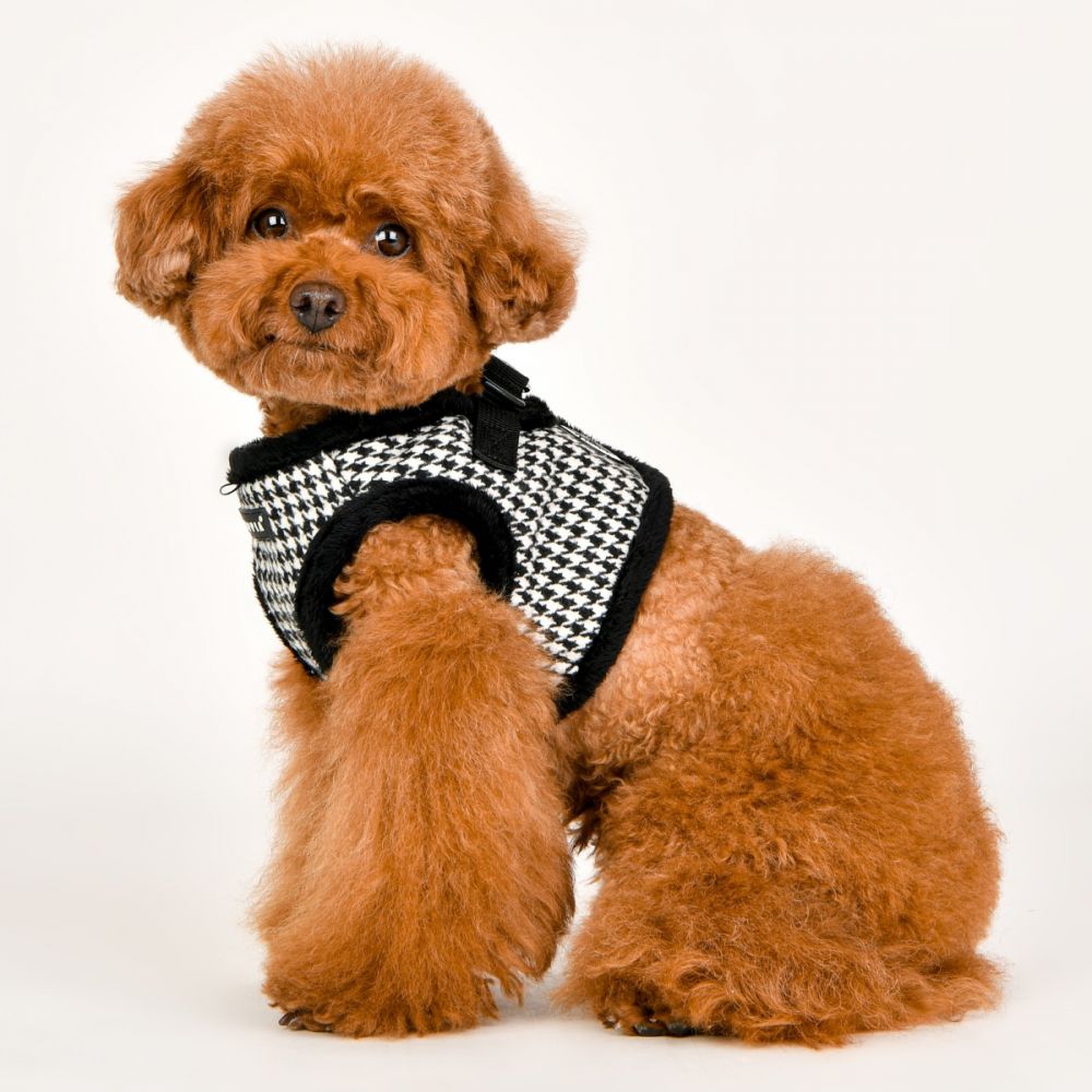 Puppia sales dog jacket