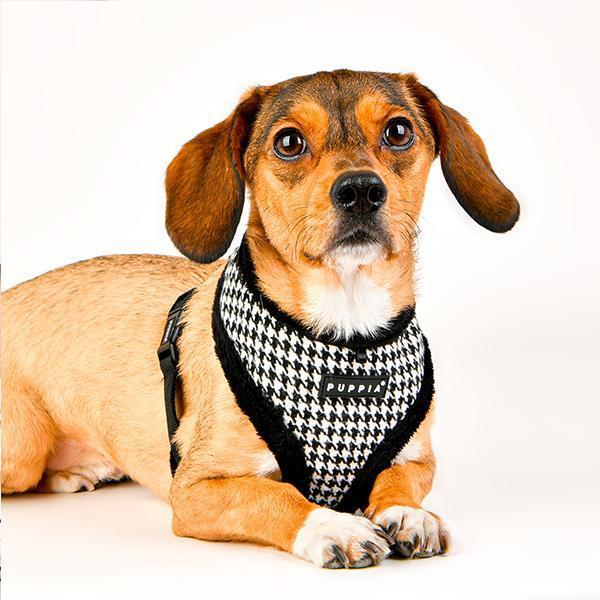 Puppia - Shepherd Soft Dog Harness (A) - Black-Puppia-Love My Hound