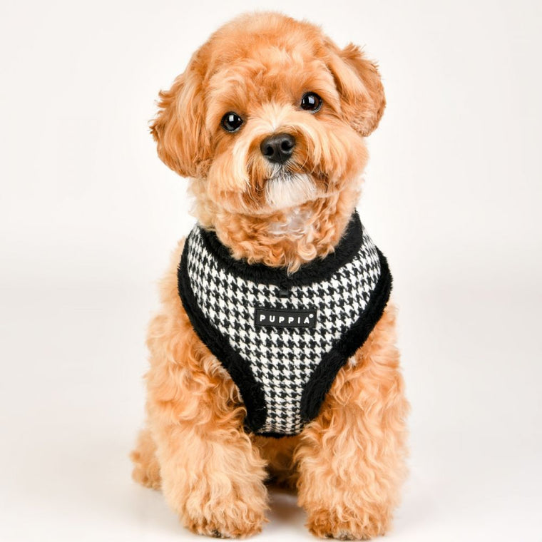 Puppia - Shepherd Soft Dog Harness (A) - Black