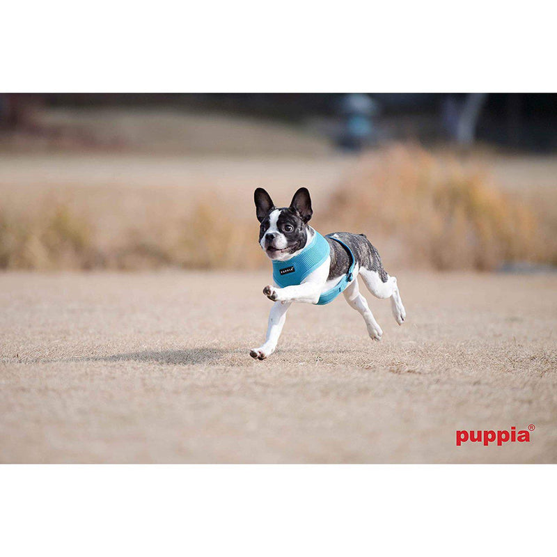 Puppia Soft Dog Harness (A) - Black-Puppia-Love My Hound