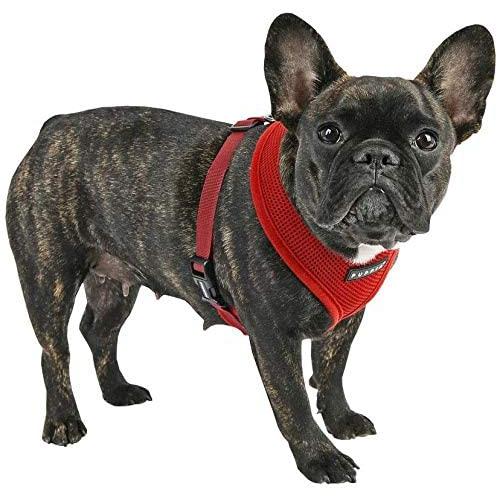 Puppia Soft Dog Harness (A) - Red-Puppia-Love My Hound