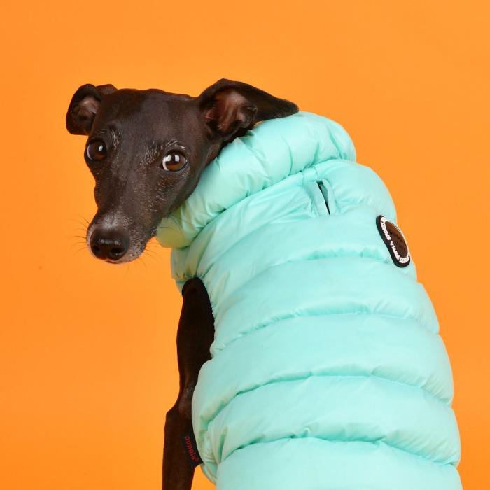 Puppia - Ultralight Thermal Dog Vest - Mint-Puppia-Love My Hound