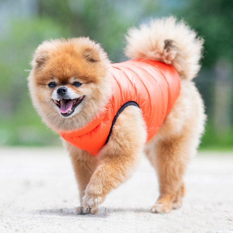 Puppia - Ultralight Thermal Dog Vest - Yellow-Puppia-Love My Hound