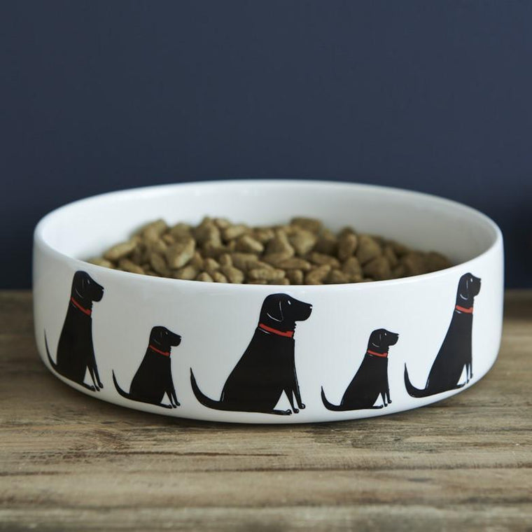 Sweet William - Black Labrador Dog Bowl