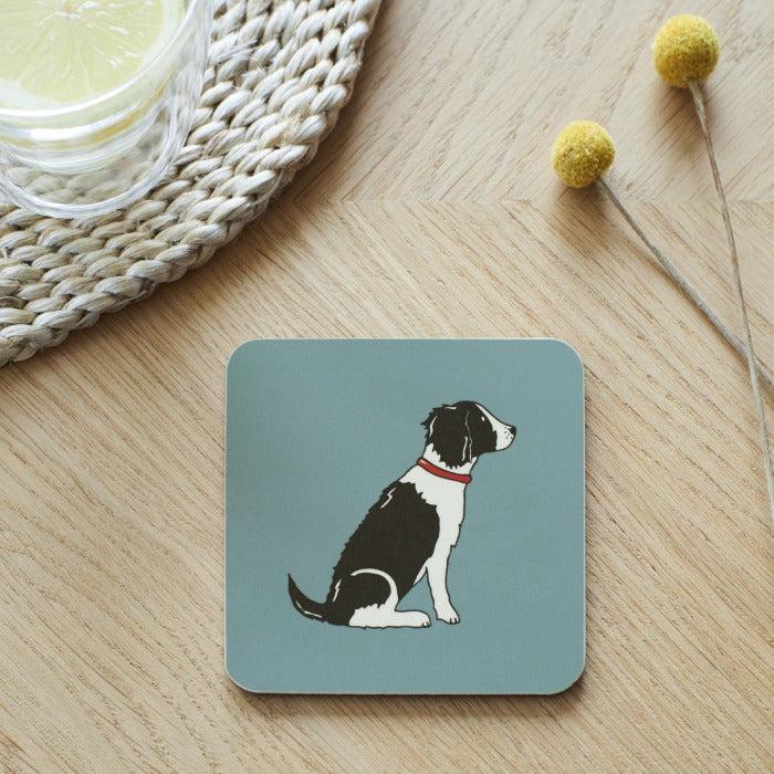 Sweet William - Black & White Springer Spaniel Coaster