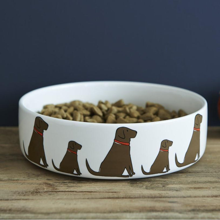 Sweet William - Chocolate Labrador Dog Bowl