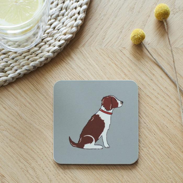 Sweet William - Liver & White Springer Spaniel Coaster