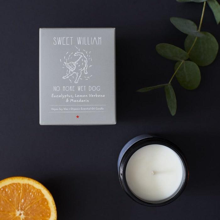 Sweet William - Organic 'No More Wet Dog' Candle-Sweet William-Love My Hound