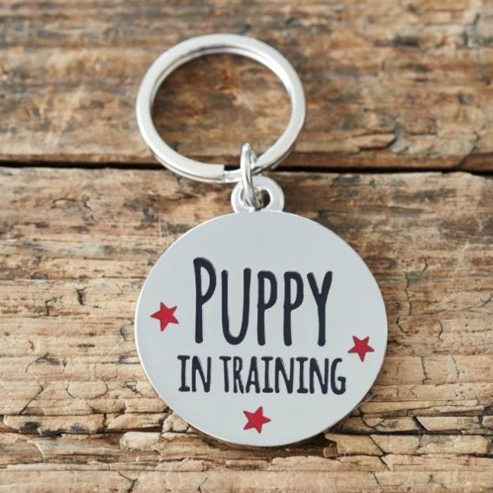 Sweet William - "Puppy In Training" Dog ID Tag-Sweet William-Love My Hound