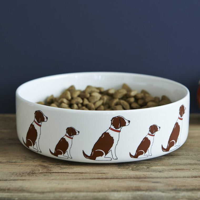 Sweet William - Springer Spaniel Dog Bowl