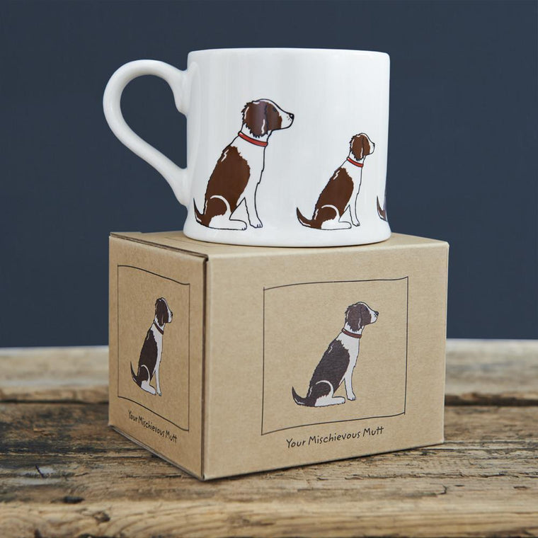 Sweet William - Springer Spaniel Mug ( Boxed )