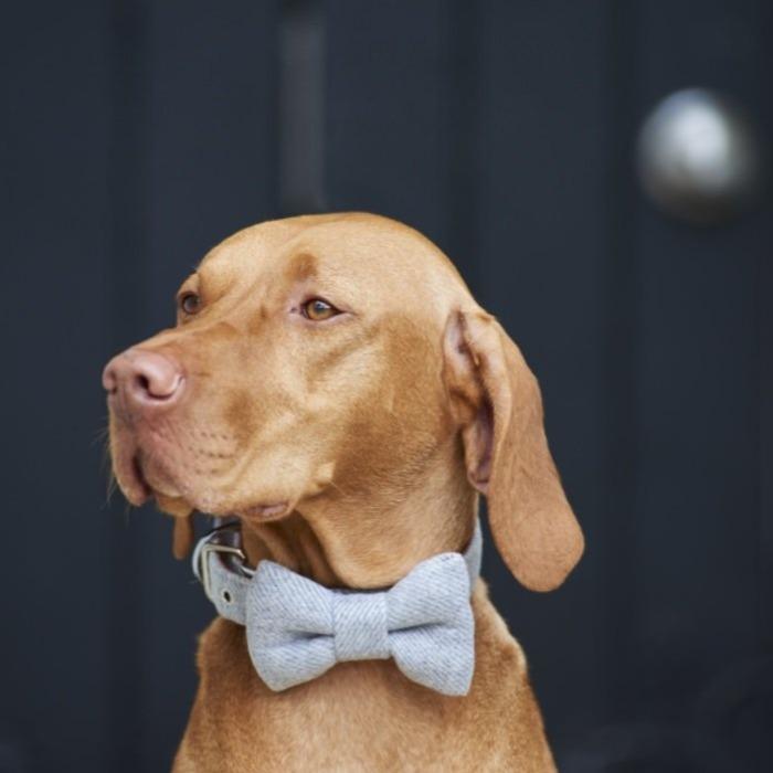 Sweet William - Tweed Dog Bow Tie - Grey-Sweet William-Love My Hound